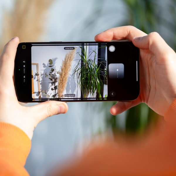 Nahaufnahme der H&auml;nde einer Person, die mit dem iPhone Pflanzen fotografiert
