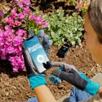 Eine Person sitzt vor einem Blumenbeet. Sie tr&auml;gt Gartenhandschuhe und h&auml;lt ein Smartphone in den H&auml;nden, auf dessen Display sich gerade die Gardena-App &ouml;ffnet.