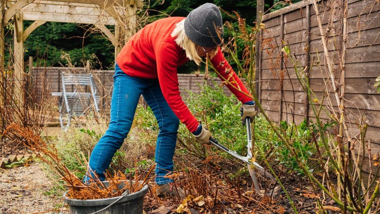 Eine Person schneidet mit einer gro&szlig;en Gartenschere B&uuml;sche und Str&auml;ucher zur&uuml;ck.