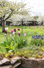 So machst du deinen Garten im Frühling fit Ein großer Garten mit einer grünen Wiese, auf der weiß blühende Bäume stehen. Im Vordergrund stehen bunte Blumen, im Hintergrund ein Gebäude aus Stein und Holz.