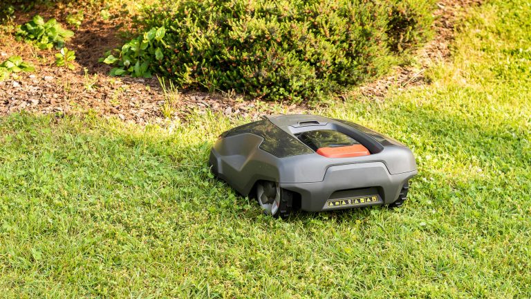 Ein Mähroboter fährt über eine Wiese. Das Gerät fährt auf eine Hecke zu.