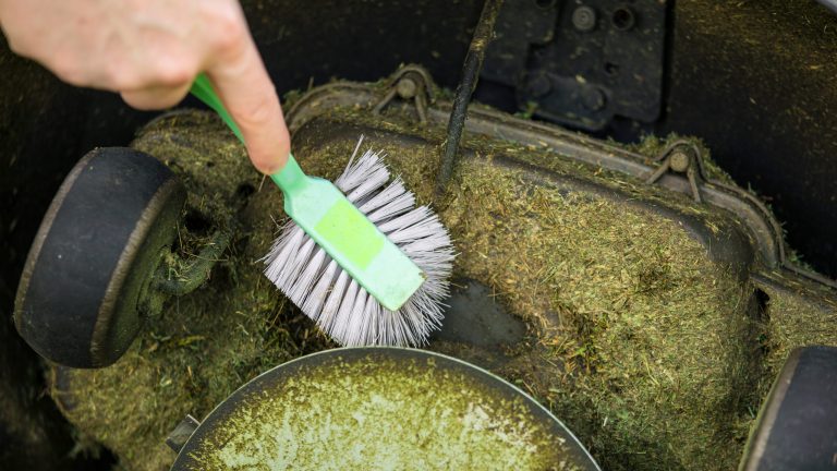 Es ist die Hand einer Person zu sehen, die mit einer Sp&uuml;lb&uuml;rste Grasreste aus einem M&auml;hroboter entfernt.