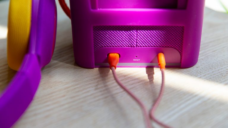 Es ist R&uuml;ckseite der Tigerbox zu sehen. Sie verf&uuml;gt &uuml;ber zwei Anschlussm&ouml;glichkeiten sowie einen Reset-Knopf.