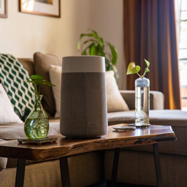 Ein Luftreiniger steht auf einem Couchtisch aus Holz. Daneben steht eine gr&uuml;ne Vase, im Hintergrund ist ein Sofa mit Zierkissen in Erdt&ouml;nen zu sehen.