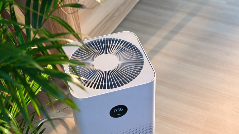 Luftreiniger, 6 Modelle für Allergiker*innen Ansicht eines Stand-Luftreinigers von oben. Neben ihm steht eine Pflanze.
