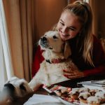 Eine Person sitzt an einem festlich gedeckten Tisch. In den Armen hält sie einen Golden Retriever, während ein zweiter seine Nase in die Luft reckt und schnüffelt.