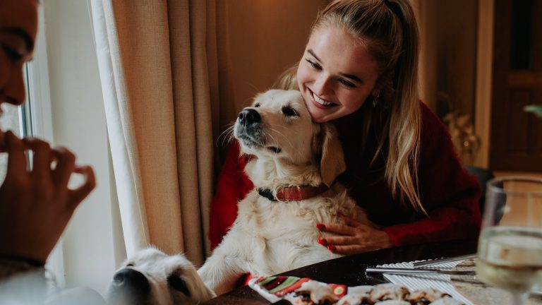 Eine Person sitzt an einem festlich gedeckten Tisch. In den Armen hält sie einen Golden Retriever, während ein zweiter seine Nase in die Luft reckt und schnüffelt.