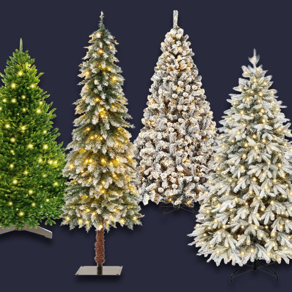 K&uuml;nstliche Weihnachtsb&auml;ume mit Beleuchtung freistehend vor schwarzem Hintergrund