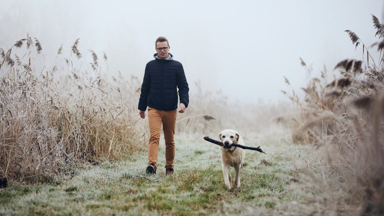 Eine Person läuft mit ihrem Hund, der einen Stock trägt, auf einem nebligen Feldweg.