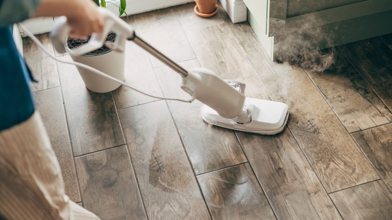 Die Hand einer Person reinigt den Boden in einem Zuhause mit einem Dampfreiniger. Im Hintergrund stehen Zimmerpflanzen.