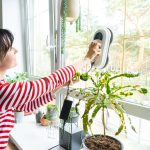Eine Person reinigt mit einem elektrischen Fenstersauger ein Fenster in ihrem Zuhause.
