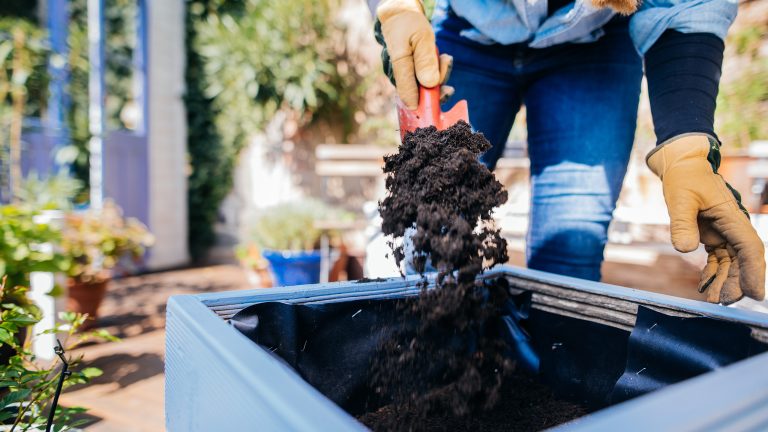 hochbeet-anlegen-2 Nahaufnahme einer Person mit Gartenhandschuhen, die mit einer Schaufel dunkle Komposterde in ein blaues Hochbeet füllt. Im Hintergrund sind Topfpflanzen und ein Garten zu sehen.