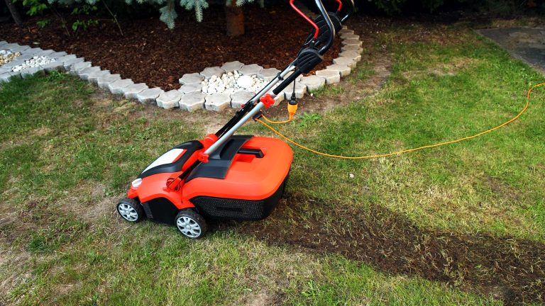 Ein roter Elektro-Vertikutierer mit orangefarbenem Kabel steht auf einem l&uuml;ckigen, teilweise verfilzten Rasen neben einem Blumenbeet.