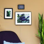 Ein Aura Walden h&auml;ngt neben zwei analogen Bildern an einer Wand und stellt ein Foto von einem Schmetterling dar.