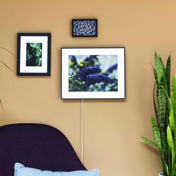 Ein Aura Walden h&auml;ngt neben zwei analogen Bildern an einer Wand und stellt ein Foto von einem Schmetterling dar.
