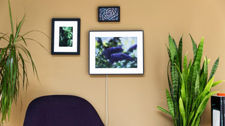 Ein Aura Walden h&auml;ngt neben zwei analogen Bildern an einer Wand und stellt ein Foto von einem Schmetterling dar.