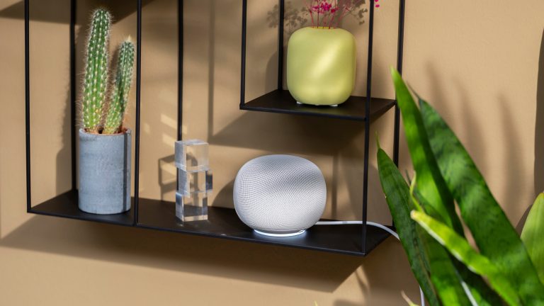 Ein Google Home Speaker steht zusammen mit Pflanzen und Deko-Objekten auf einem schwarzen H&auml;ngeregal.