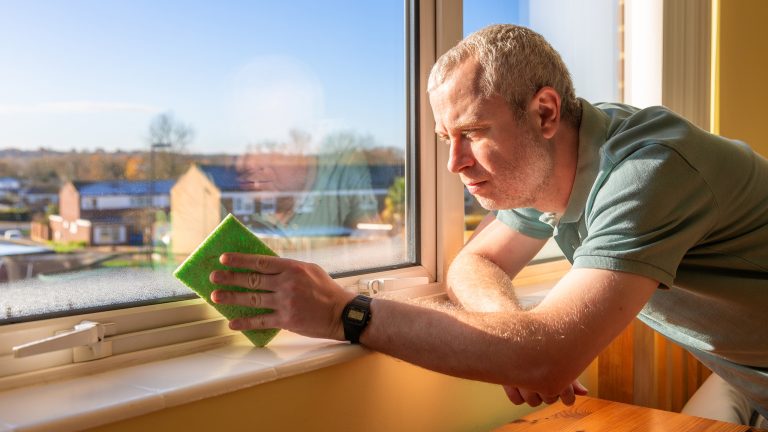Eine Person trocknet eine Fensterscheibe von innen mit einem gr&uuml;nen Schwamm.