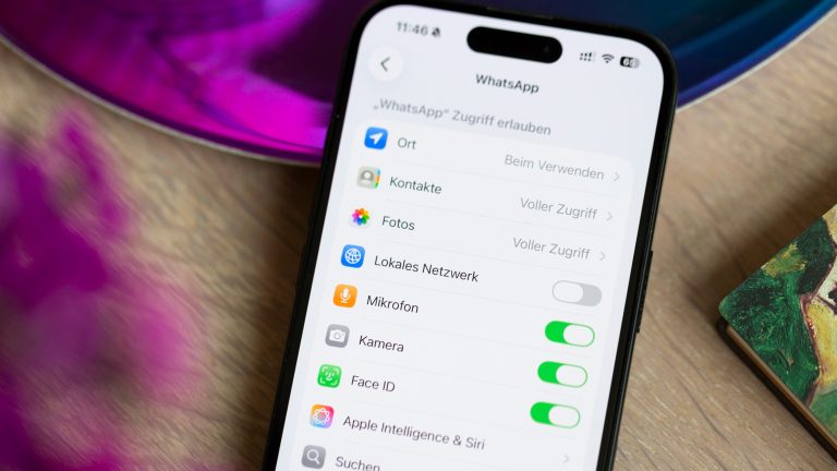 App-Berechtigungen bei iPhone und Android, Das solltest du wissen Blick auf die Einstellungen für WhatsApp bei einem iPhone.