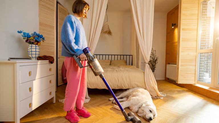 Staubsauger für Tierhaare, Diese Modelle eignen sich für Hunde- und Katzenhaushalte Eine Person mit einem Stabsauger will den Boden saugen, doch ihr Hund liegt im Weg und rührt sich nicht.