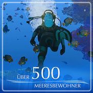 Über 500 Meeresbewohner